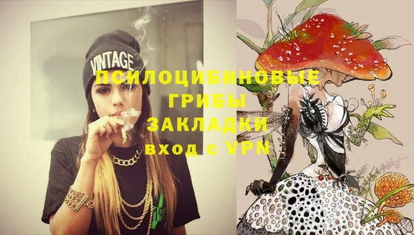 spice Абинск
