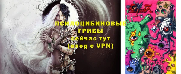 PSILOCYBIN Абаза