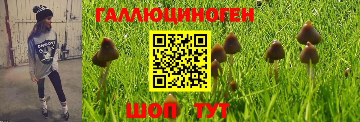 Гагарин  Галлюциногенные грибы Psilocybine cubensis  закладки  Вход с VPN 