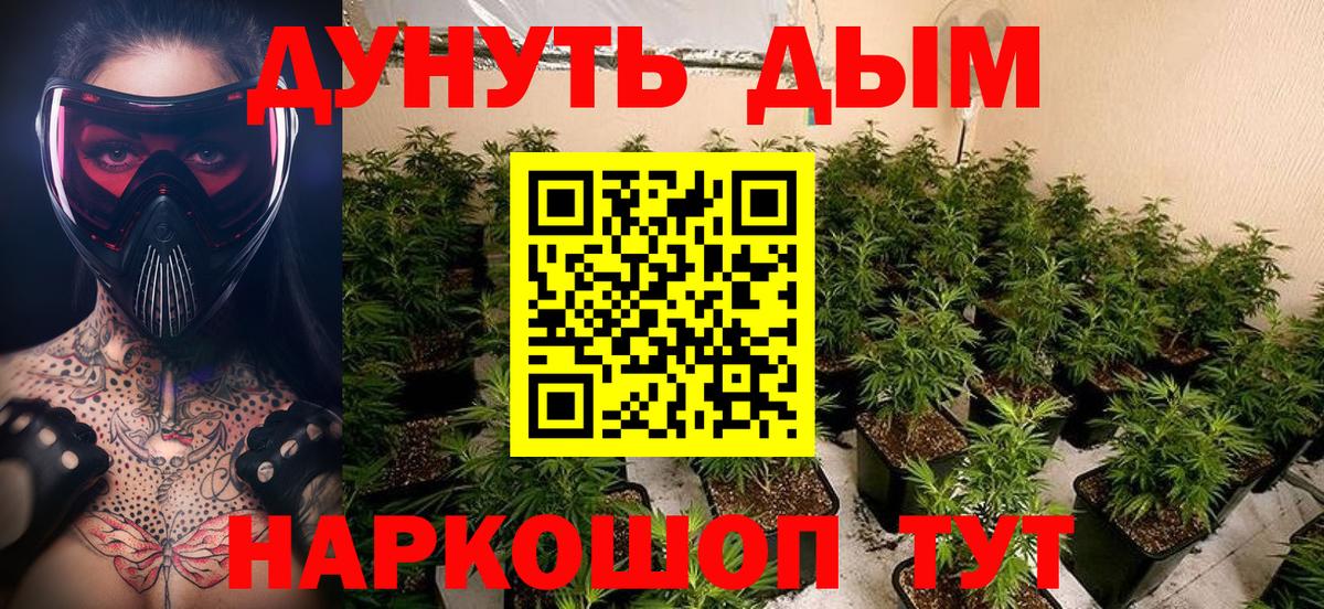 Шишки марихуана план Гагарин